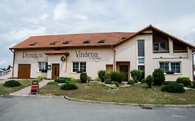 Penzion Vinárna U Hroznu